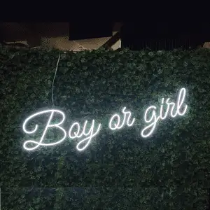 Bay or girl Led Neon