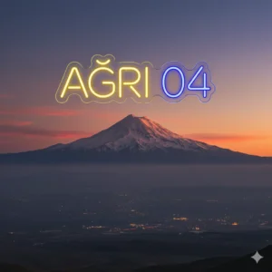 Sarı ve Mavi Renkli Ağrı 04 Yazılı Şehir Plaka Led Neon Tabela