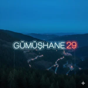 ümüşhane 29 yazılı beyaz ve kırmızı dekoratif şehir serisi LED neon tabela.