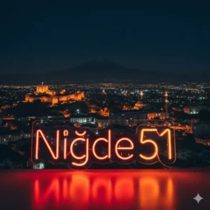 Niğde-51-Led-Neon